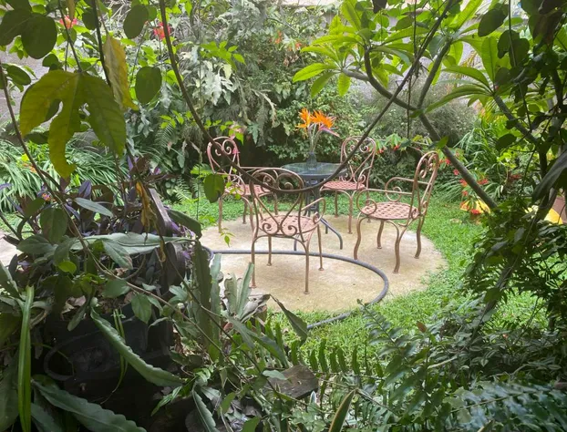 Flor De Cera hotel detail image 1