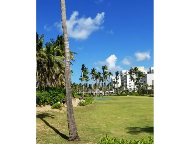 Beautiful Villa at The Wyndham Rio Mar Margaritaville Beach Resort hotel detail image 4