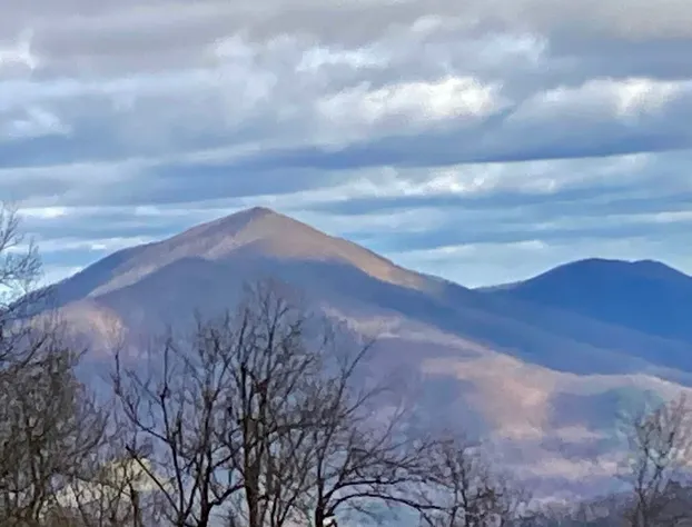 Bent Mountain Lodge hotel detail image 1