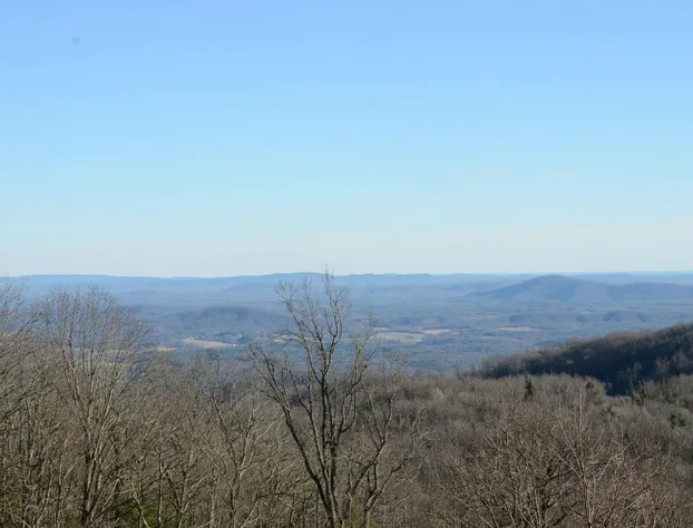 Bent Mountain Lodge hotel detail image 3
