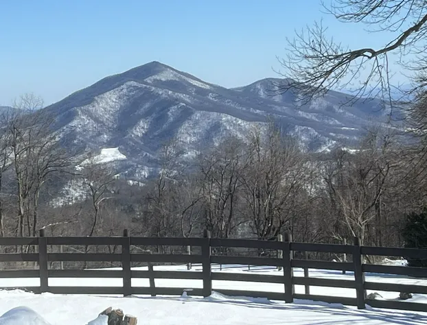 Bent Mountain Lodge hotel detail image 4