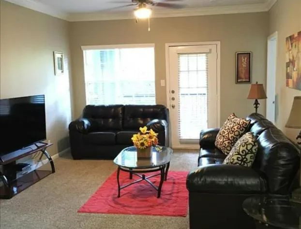 Resort Style Apt/Home in Houston Medical Centre hotel detail image 2