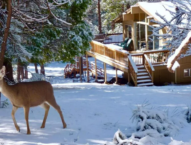 Arrow Lodge hotel detail image 3