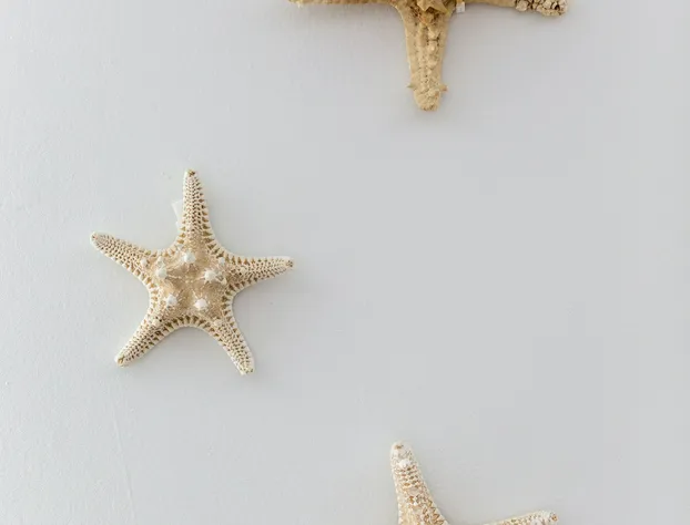 Apartment on the Beach hotel detail image 3