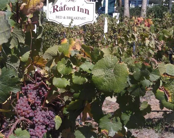 The Raford Inn hotel detail image 4