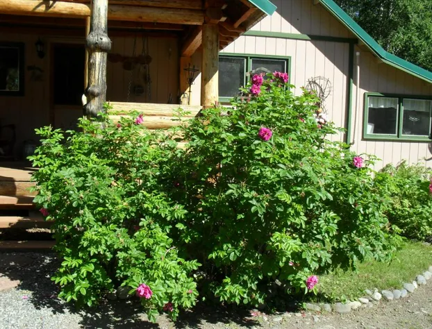 Alaskas Northland Inn hotel detail image 4