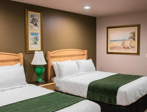 The Gator Den Motel hotel detail image 3