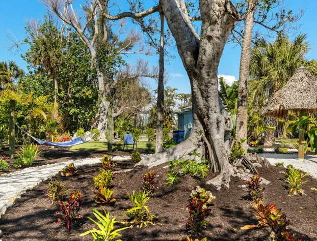 Driftwood Inn hotel detail image 4