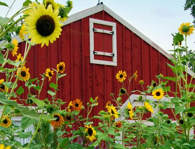 Sunflower Hill Inn hotel detail image 3