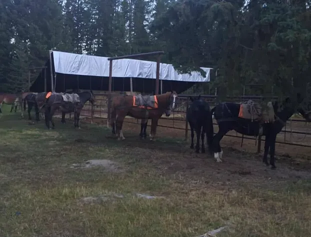 Standing Stones Bed & Breakfast hotel detail image 3