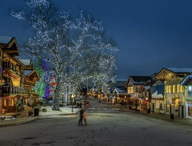 Riffle River Lodge 3 Bedroom Home by NW Comfy Cabins by RedAwning hotel detail image 4