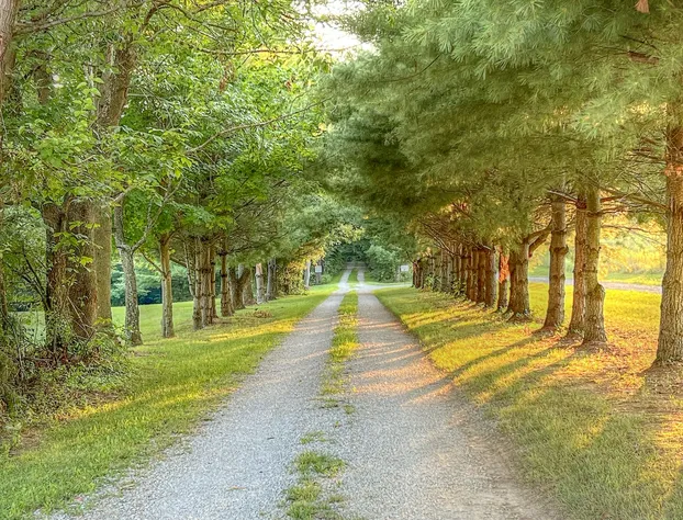 Cricket Hill Lodge & Cabins hotel detail image 2