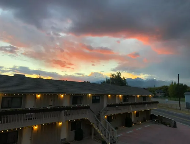 Woodland Motel hotel detail image 2