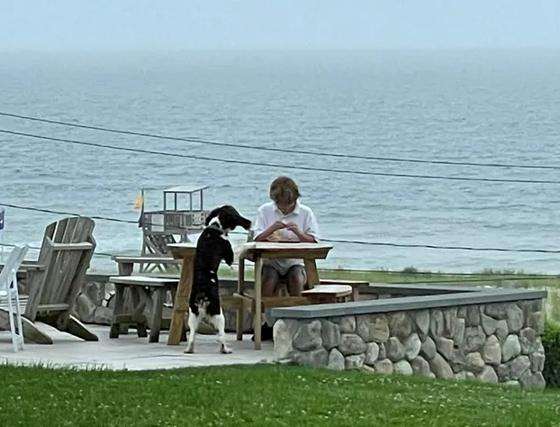 Nauset Beach Inn hotel detail image 2