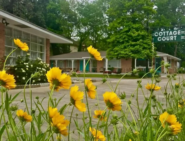 Dame Fortune's Cottage Court hotel detail image 3