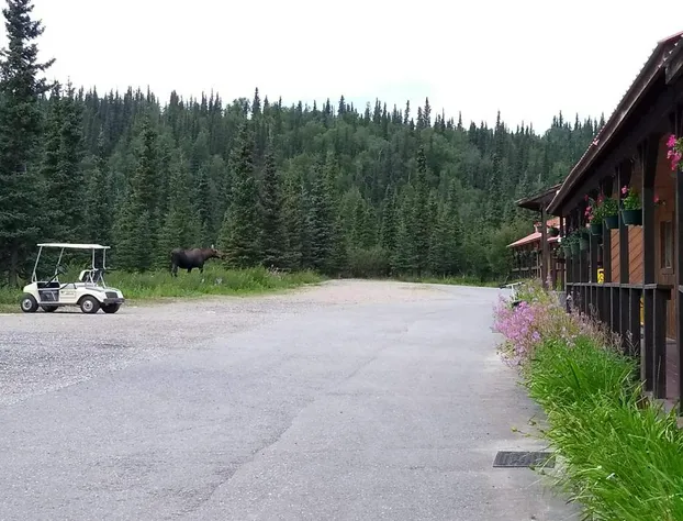White Moose Lodge hotel detail image 2