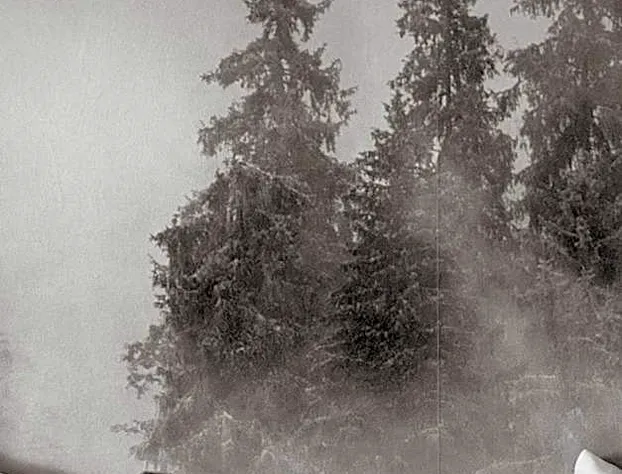 Lazy Duck Inn hotel detail image 2