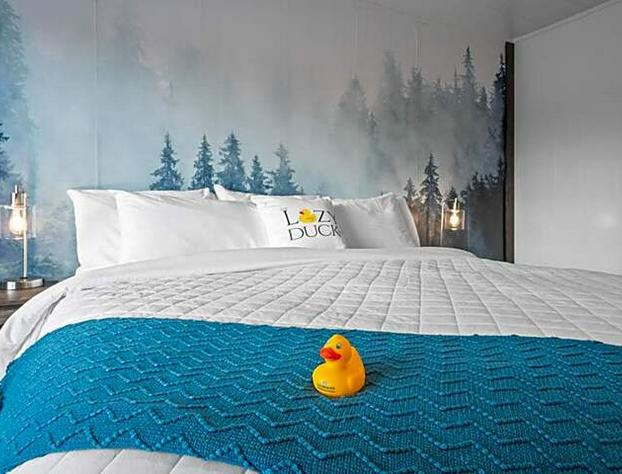 The Lazy Duck Inn hotel detail image 1