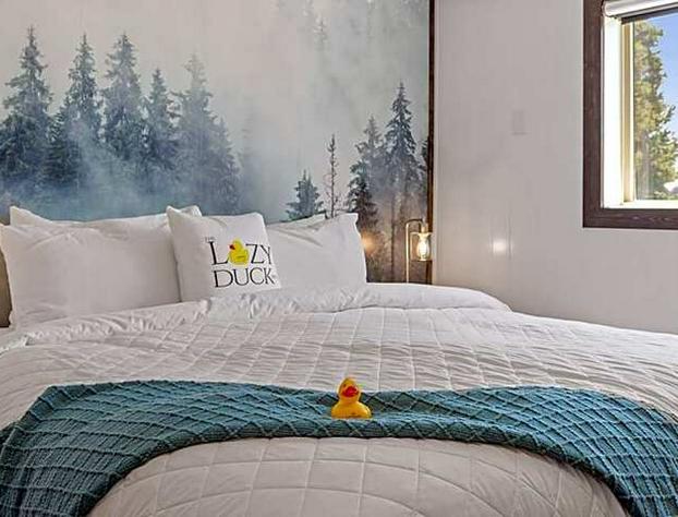 The Lazy Duck Inn hotel detail image 3