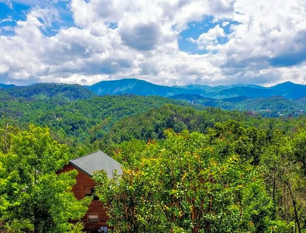 Bella Vista Lodge hotel detail image 1