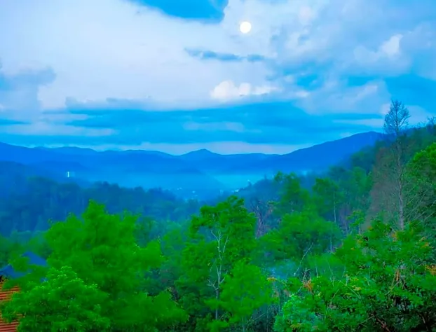 Bella Vista Lodge hotel detail image 2