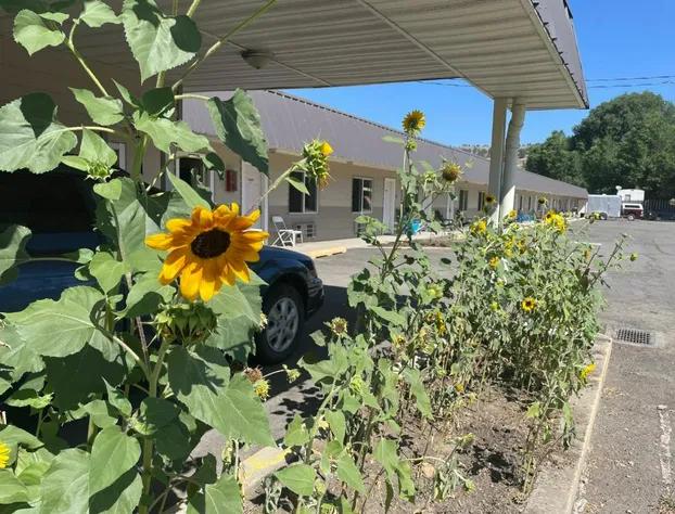 Budget 8 Motel John Day hotel detail image 3
