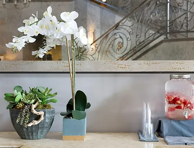 The Chateau At Lake La Quinta hotel detail image 1