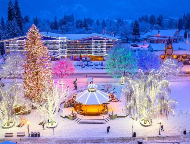 Bearfoot Chalet 3 Bedroom Home by NW Comfy Cabins hotel detail image 1