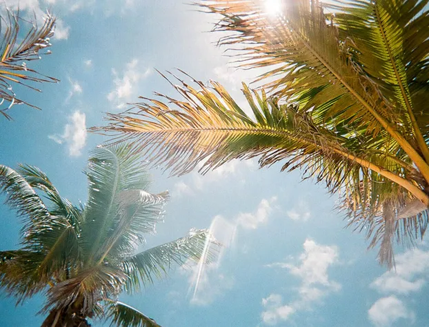 Villa Close to Disney Orlando Villa 3305 hotel detail image 4