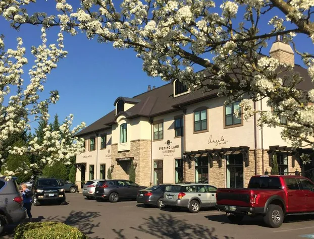 The Dundee - A Trace Hotel hotel detail image 1