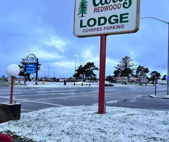 Curly Redwood Lodge hotel detail image 2