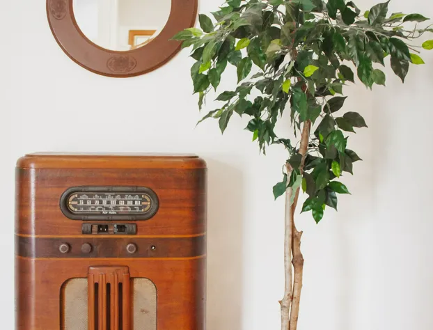 The Respite Bed and Breakfast hotel detail image 3