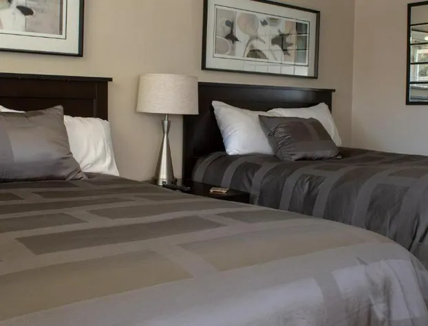 Mark III, INN & Suites hotel detail image 3