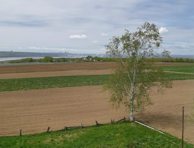 B&B Panorama hotel detail image 3