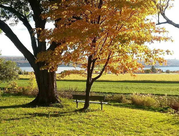 B&B Panorama hotel detail image 4