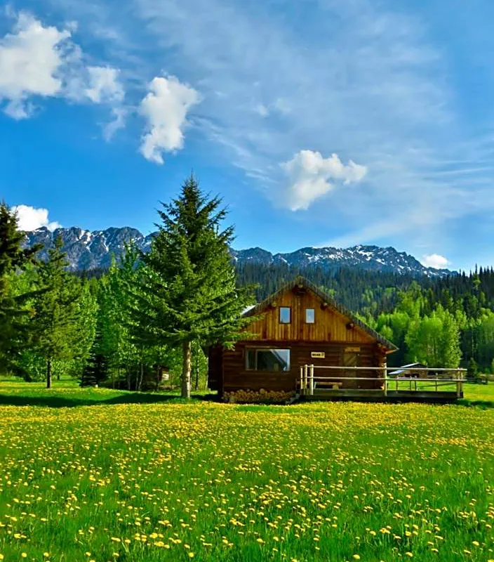 Rocky Ridge Resort-BC hotel hero