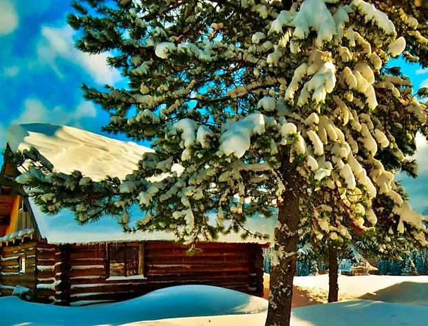 Rocky Ridge Resort-BC hotel detail image 2