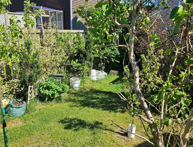 Cozy Pet Friendly Home hotel detail image 4