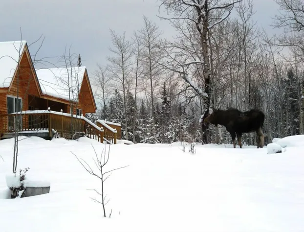Eagle Bear Lodge hotel detail image 2