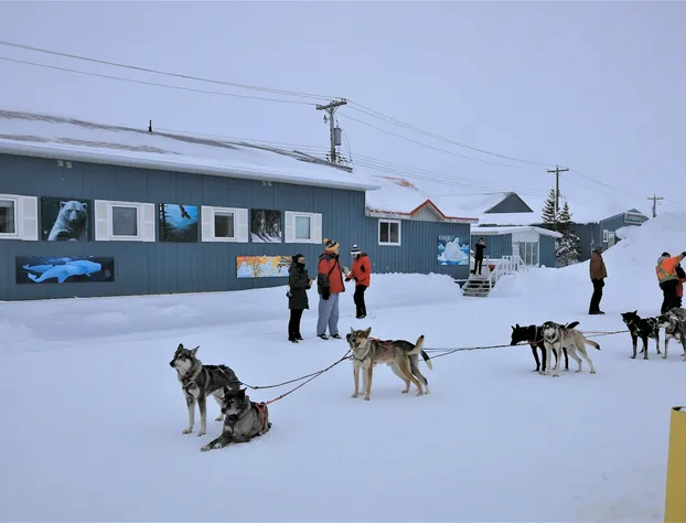 Iceberg Inn hotel detail image 2