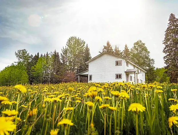 Willow Grove B&B Inn hotel detail image 4