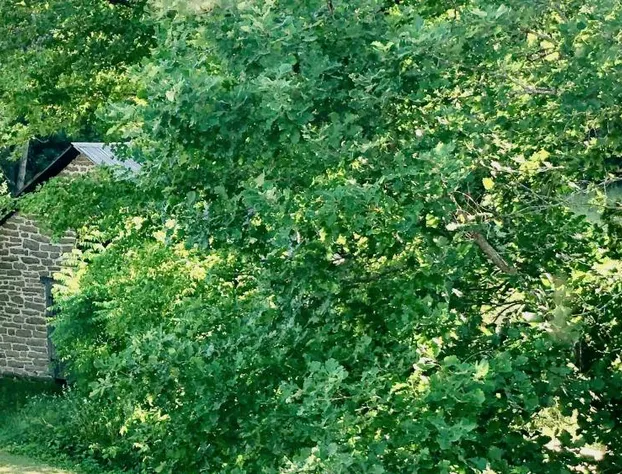 Harlem Stonegate B&B hotel detail image 2