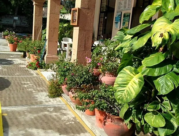 Hotel Tecozautla hotel detail image 1