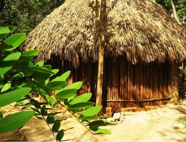 Xkopek Camping hotel detail image 1