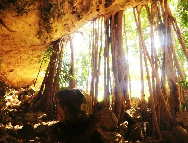 Xkopek Camping hotel detail image 3