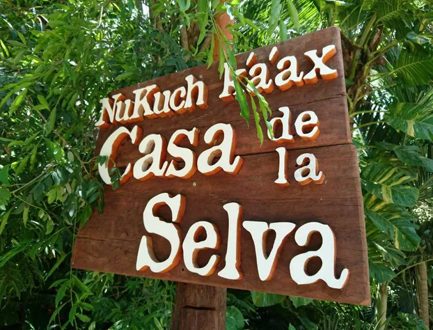 Jungle Lodge CANCUN AEROPUERTO hotel detail image 1