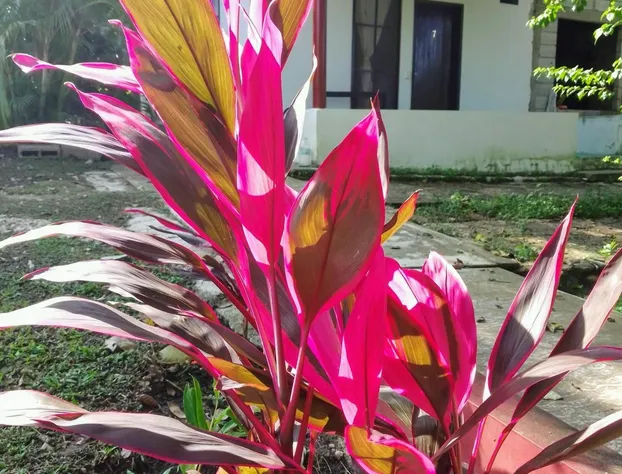 CABAÑAS el PORVENIR hotel detail image 1
