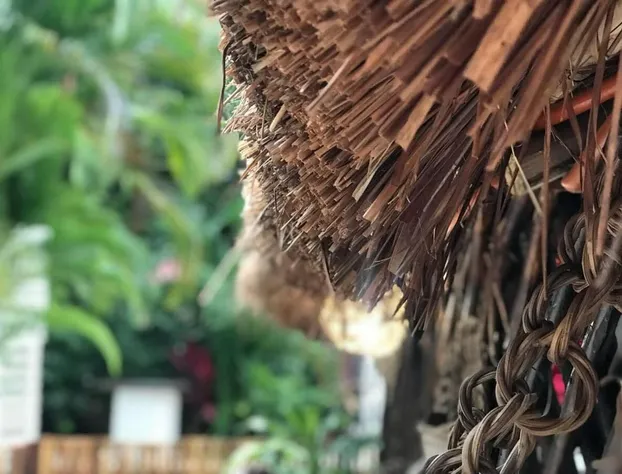 Hotel Cabañas La Alborada hotel detail image 1