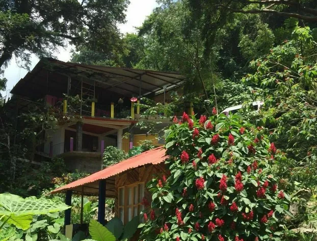 Cabaas y Casas del rbol La Huerta hotel detail image 4