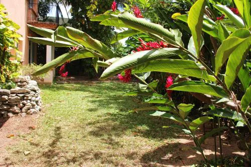 AMAXING Cancun Airport hotel detail image 1